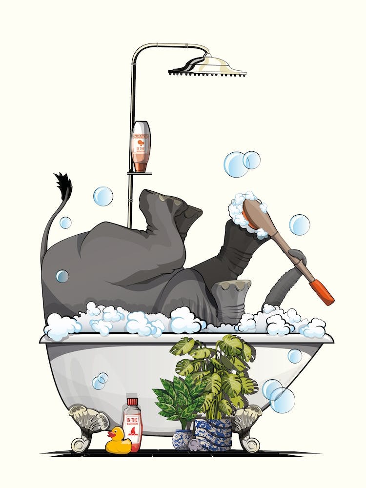 Elephant In Bath, Washing Feet