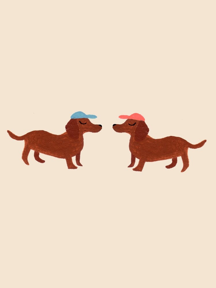 Pupitos