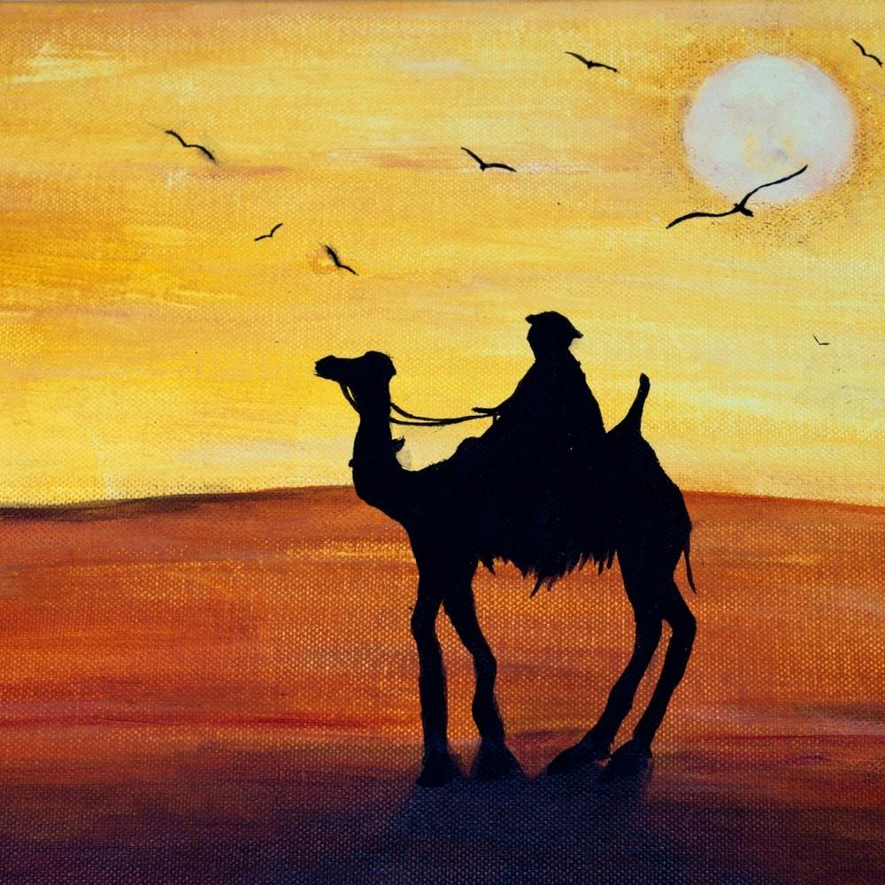Kamel bei Sonnenuntergang