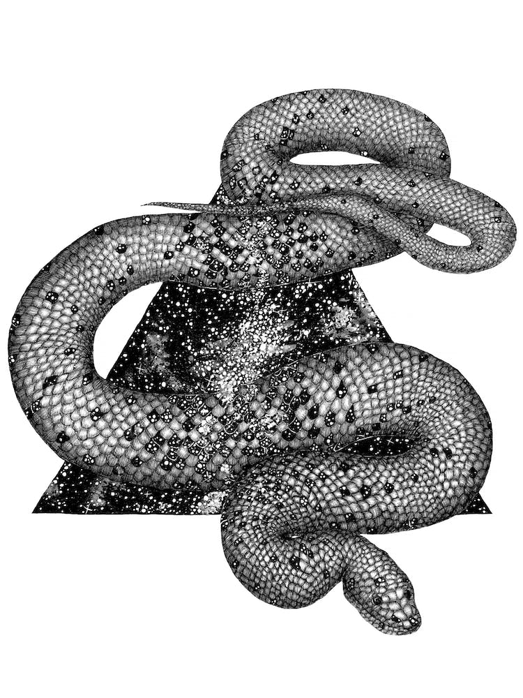 Cosmic Snake