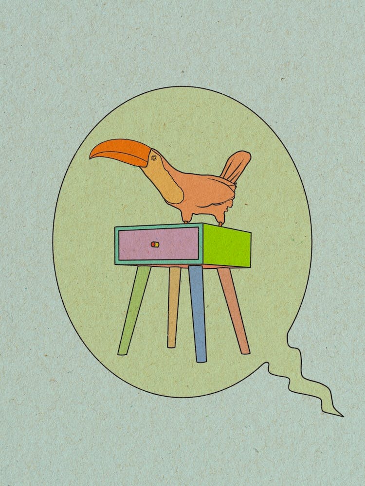 Toucan, drawer, bird, illustration, wall art