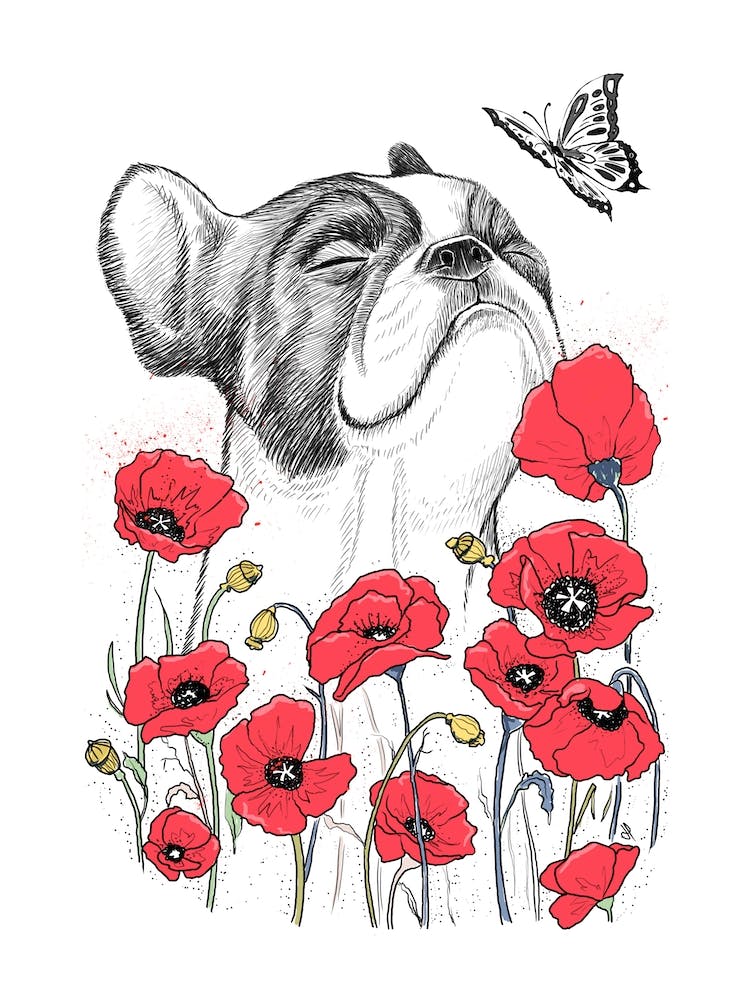 Pug With Poppies