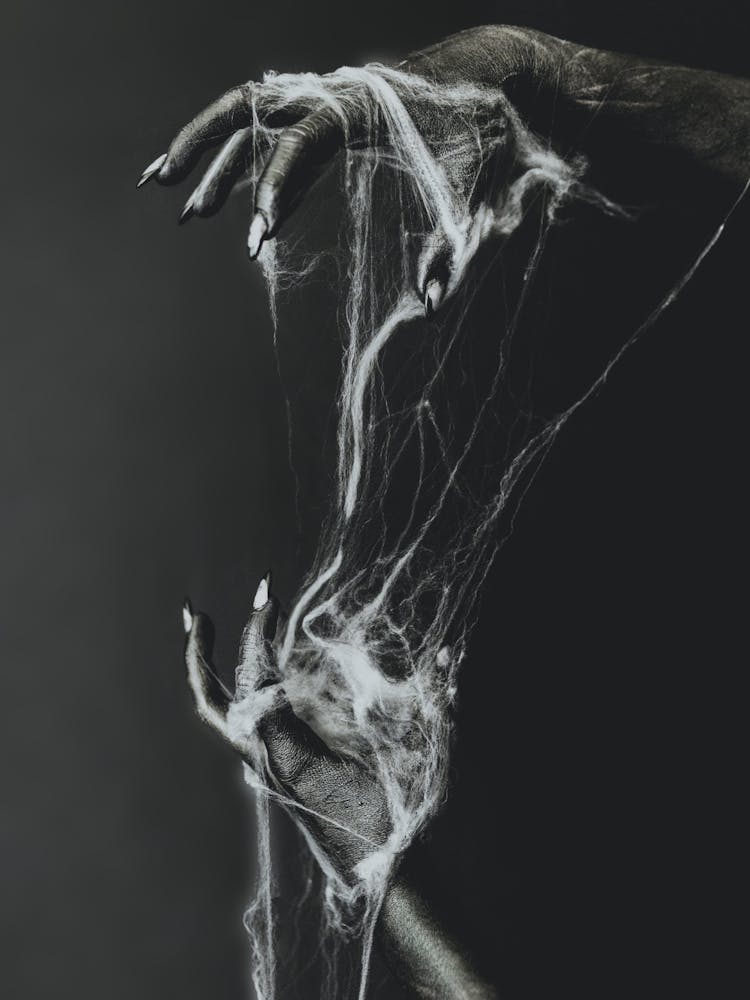 Spider web