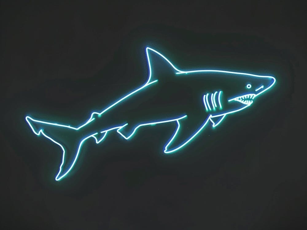 Neon Isistius Genus Shark 5