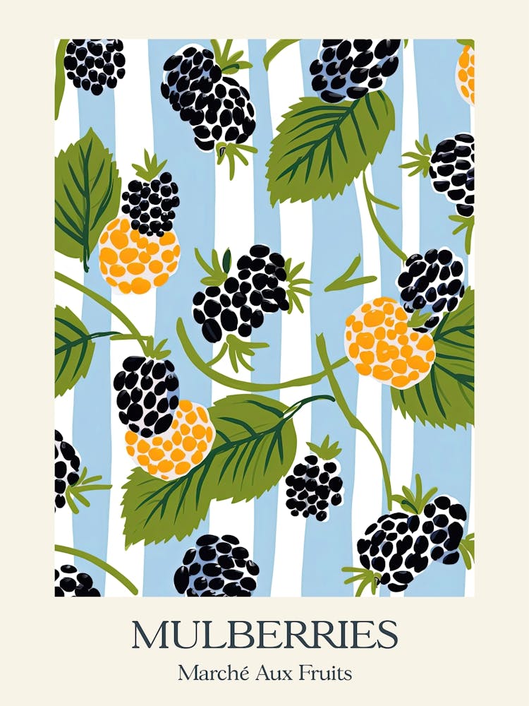 Marche Aux Fruits Mulberries Fruit Summer Illustration 1