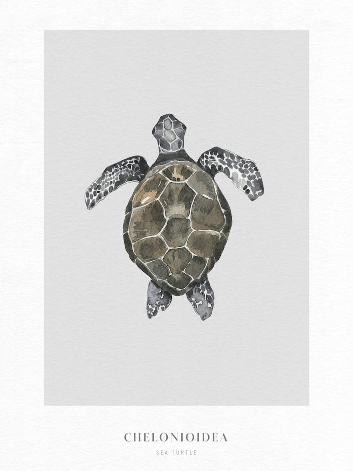 Boho Ocean 2 Sea Turtle
