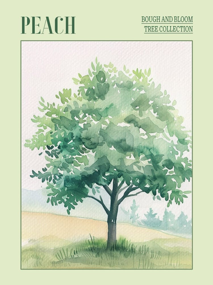 Peach Tree Atmospheric Watercolour Painting 1 Poster
