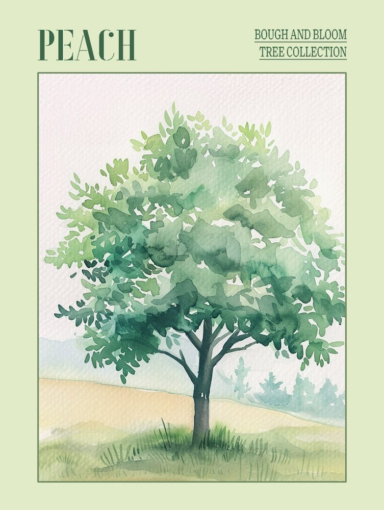 Peach Tree Atmospheric Watercolour Painting 1 Poster