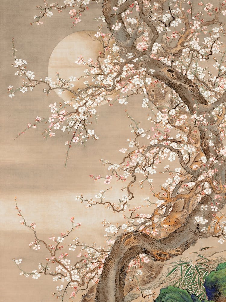 Japanese plum blossoms in moonlight 1