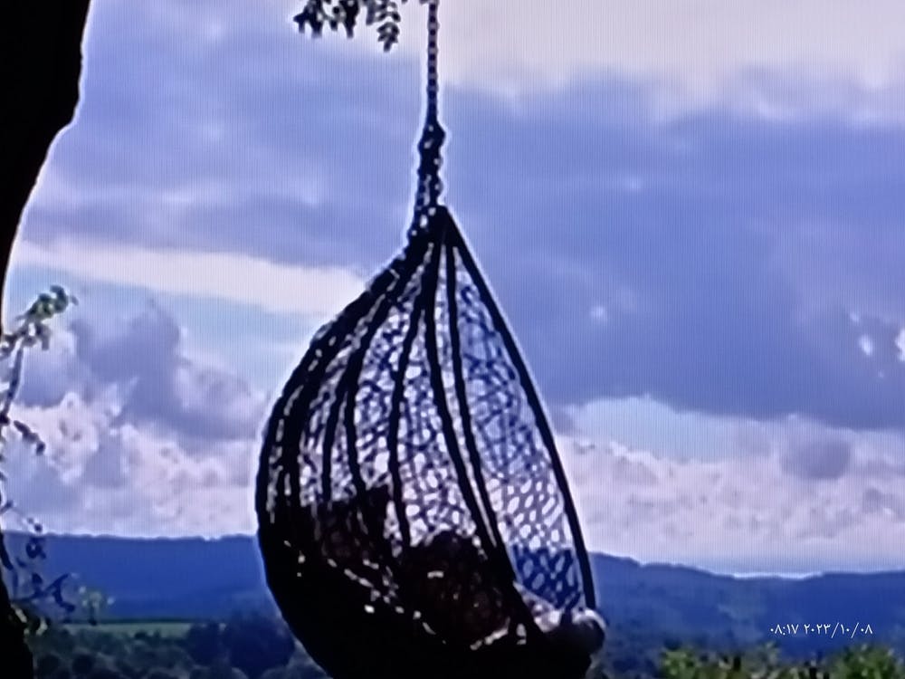 Hanging Chair