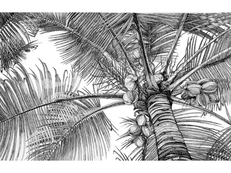 Under The Palms