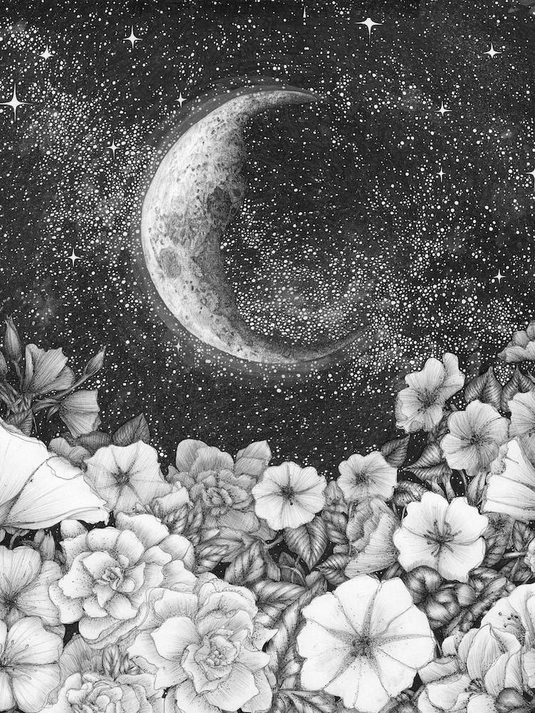 Moonlight In The Garden