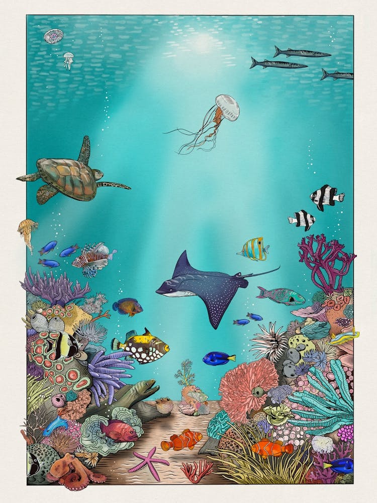 Under The Sea Coral Reef Ocean Diving