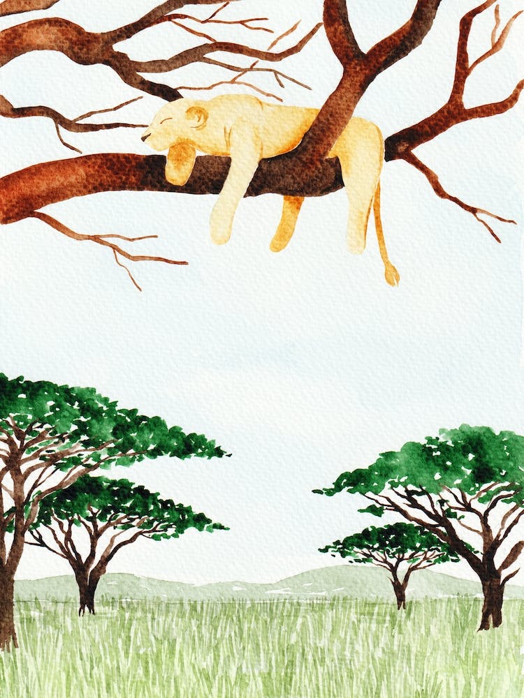 Kenya Aquarell