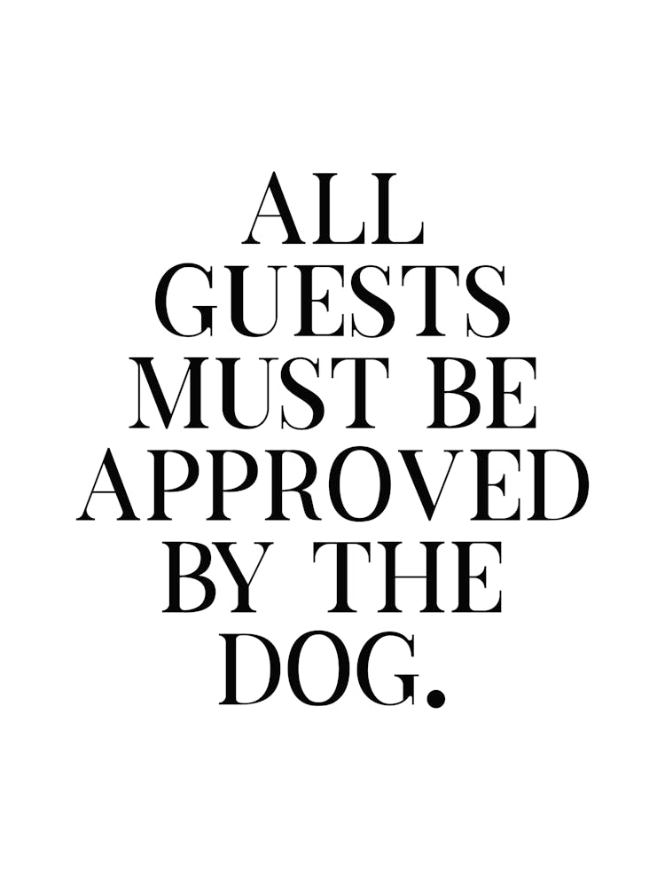 All Guests Must Be Approved By The Dog
