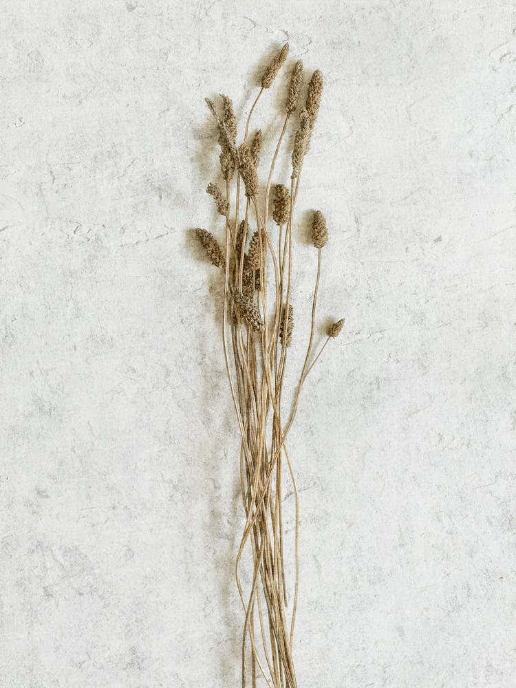 Wild Botanicals Bouquet