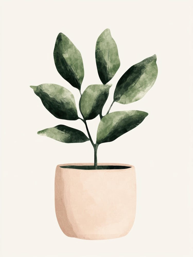 Plant In A Pot 114