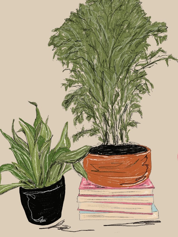 Books and plants