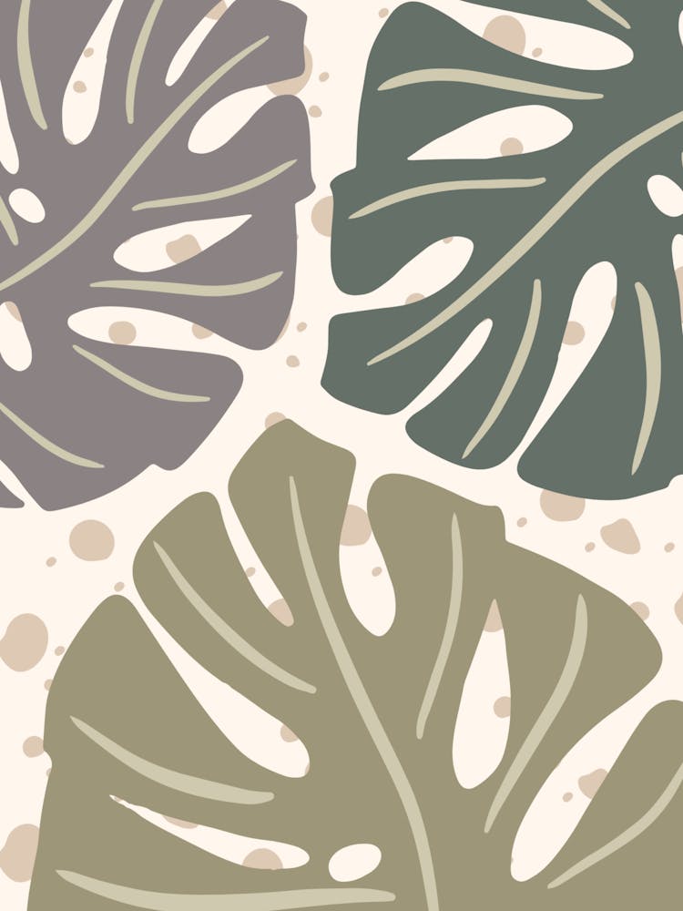 Monstera Leaves 1