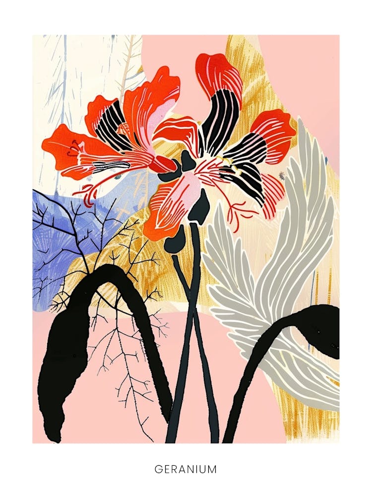 Colourful Flower Illustration Poster Geranium 3