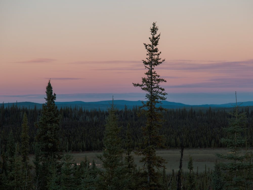 Yukon Evening
