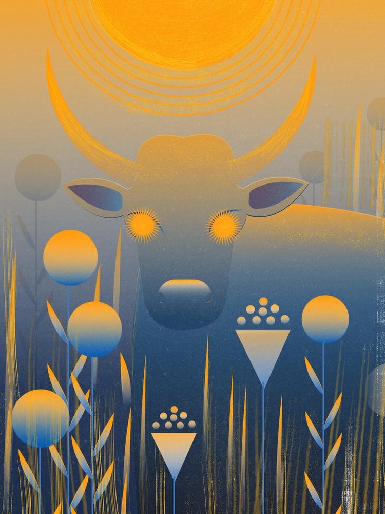 Bull In The Field