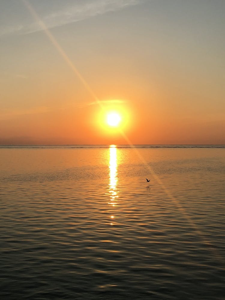 Sunset in Bali, Indonesia (vertical)