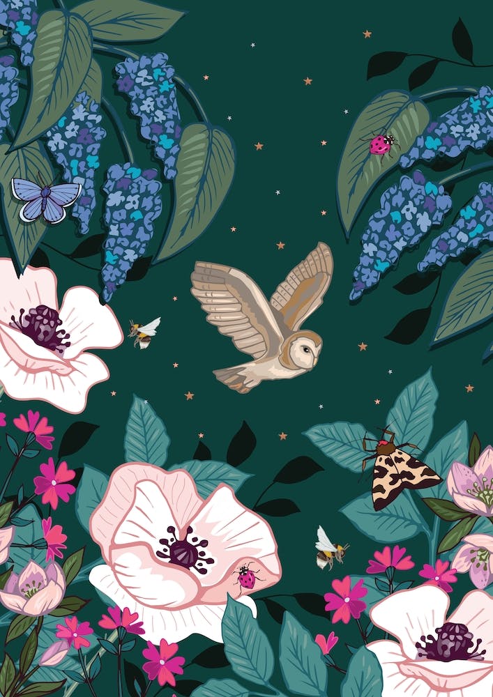 Barn Owl In Flight Over White Poppies