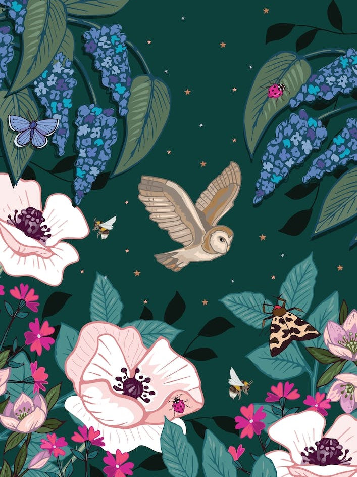 Barn Owl In Flight Over White Poppies