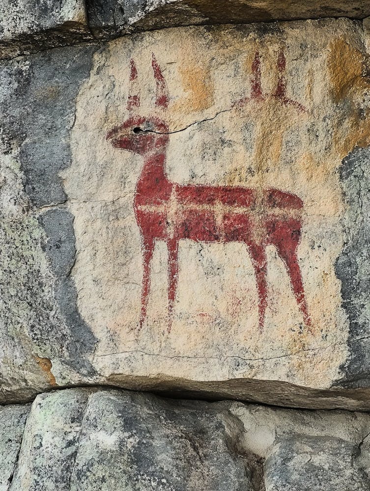 Viking Deer