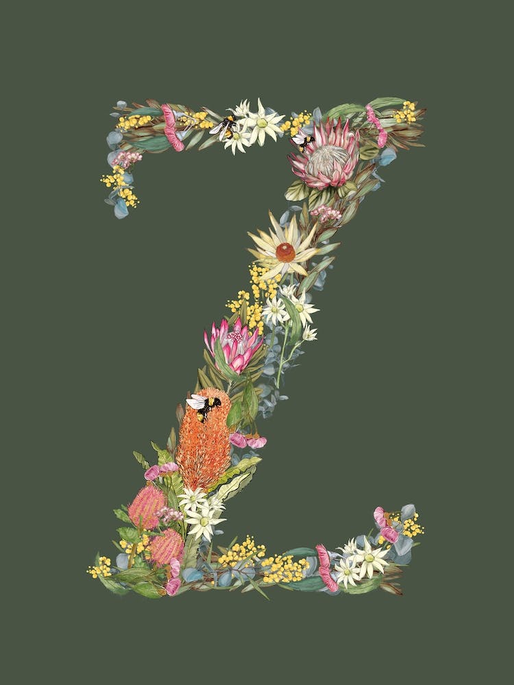 Z Olive Alphabet Letter