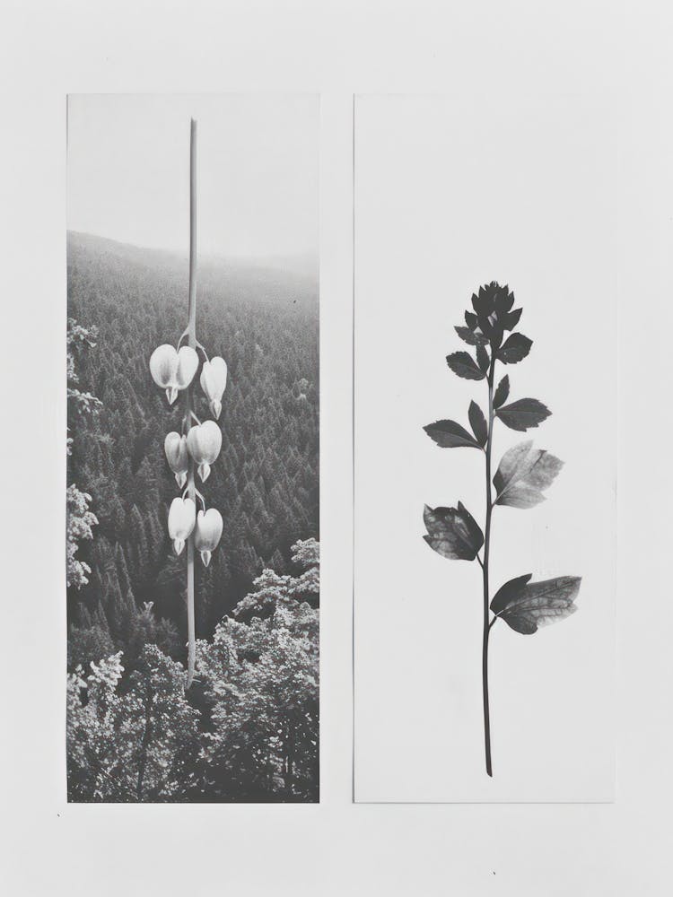 Herzblume Fotocollage 4
