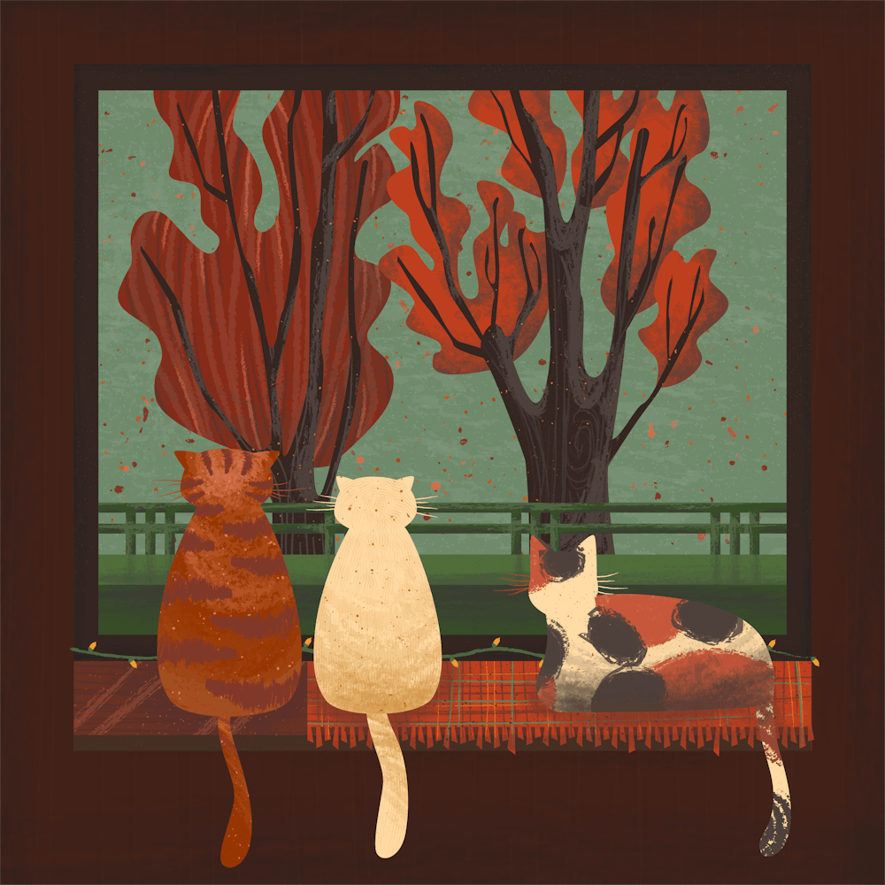 From My Window - Autumn