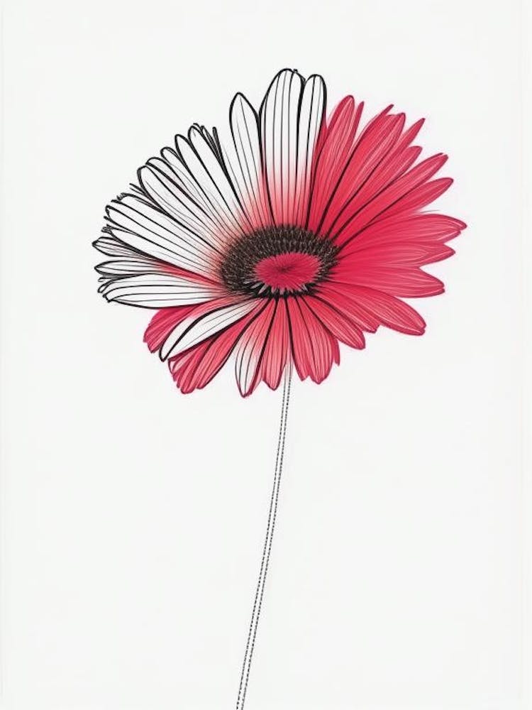 Gerbera Floral Minimal Line Drawing 1 Flower
