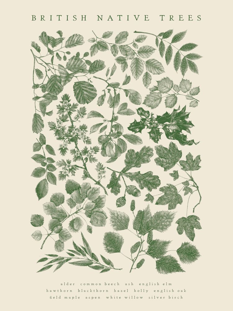 British Native Trees