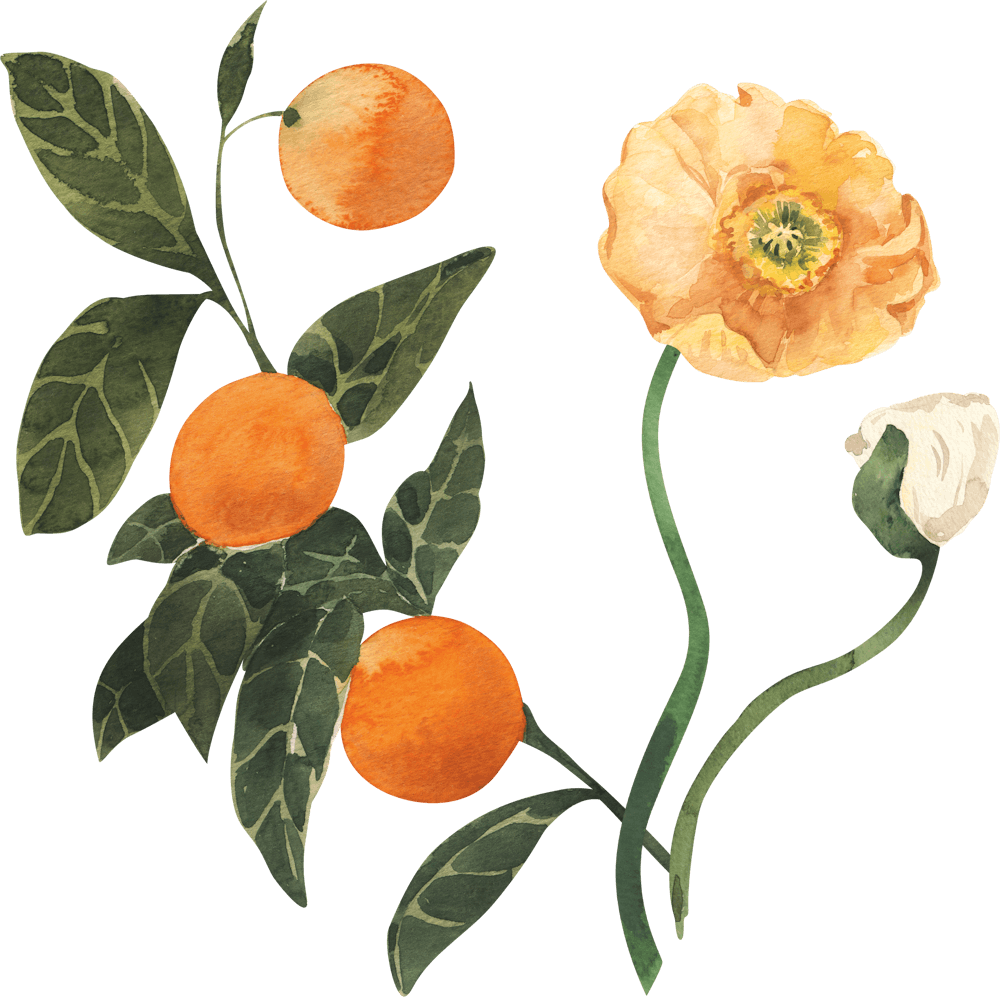 Oranges And Poppy
