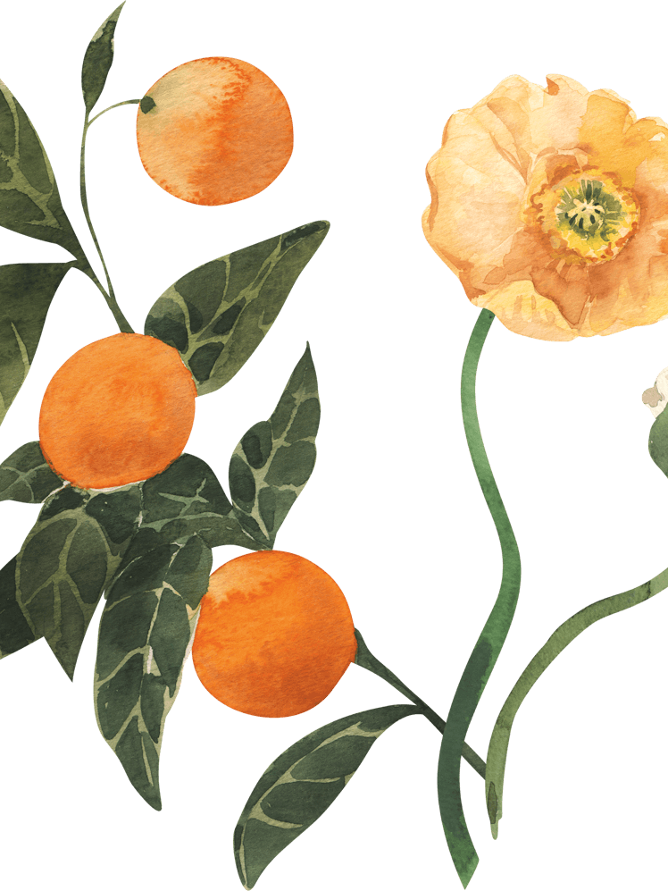 Oranges And Poppy