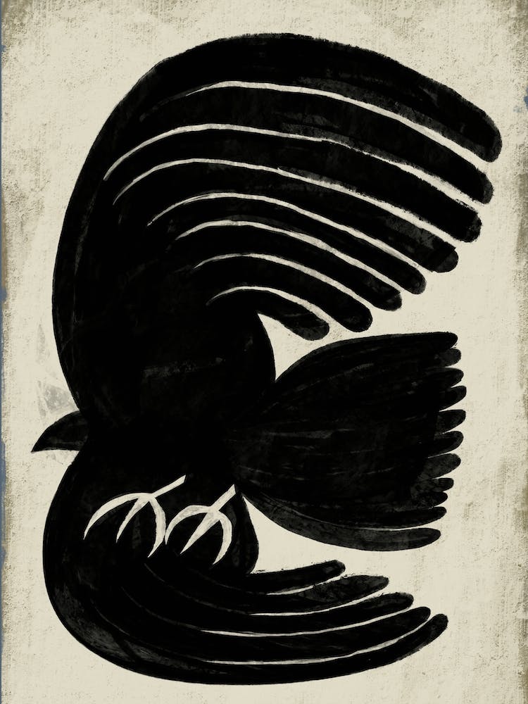 Black Hawk Bird On Neutral