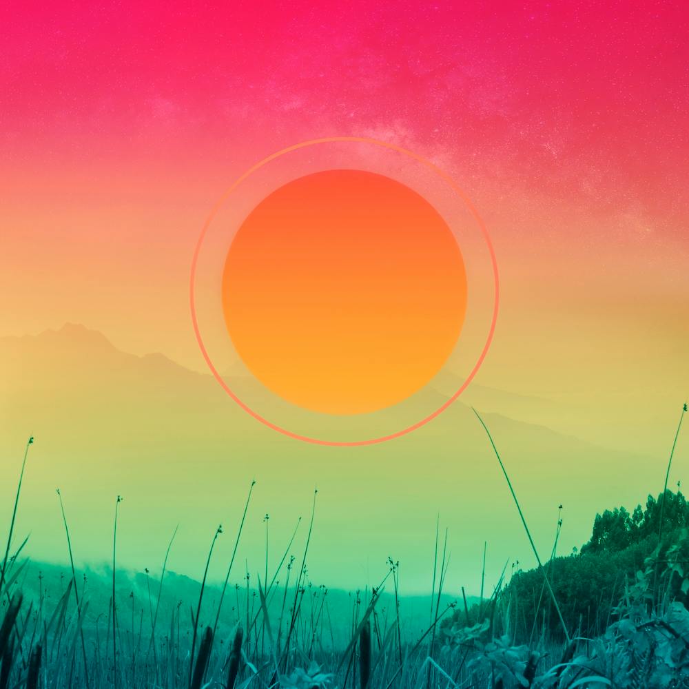 Gradients In The Forest Square