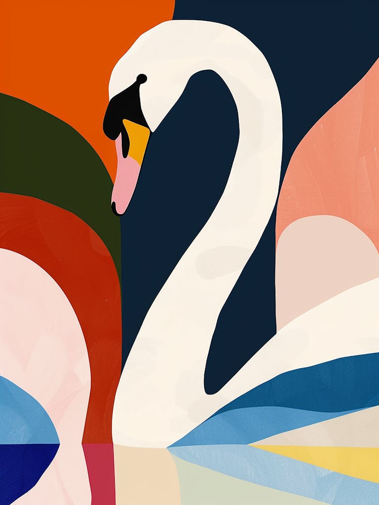 Colourful Swan 3