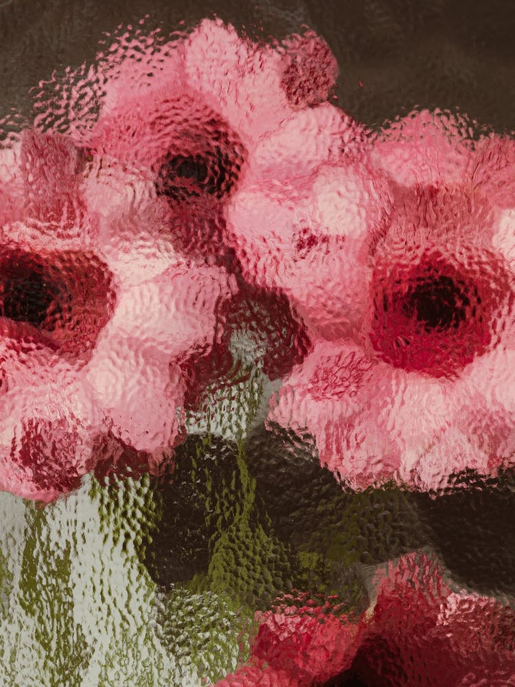Rosa Blumen in einer Vase