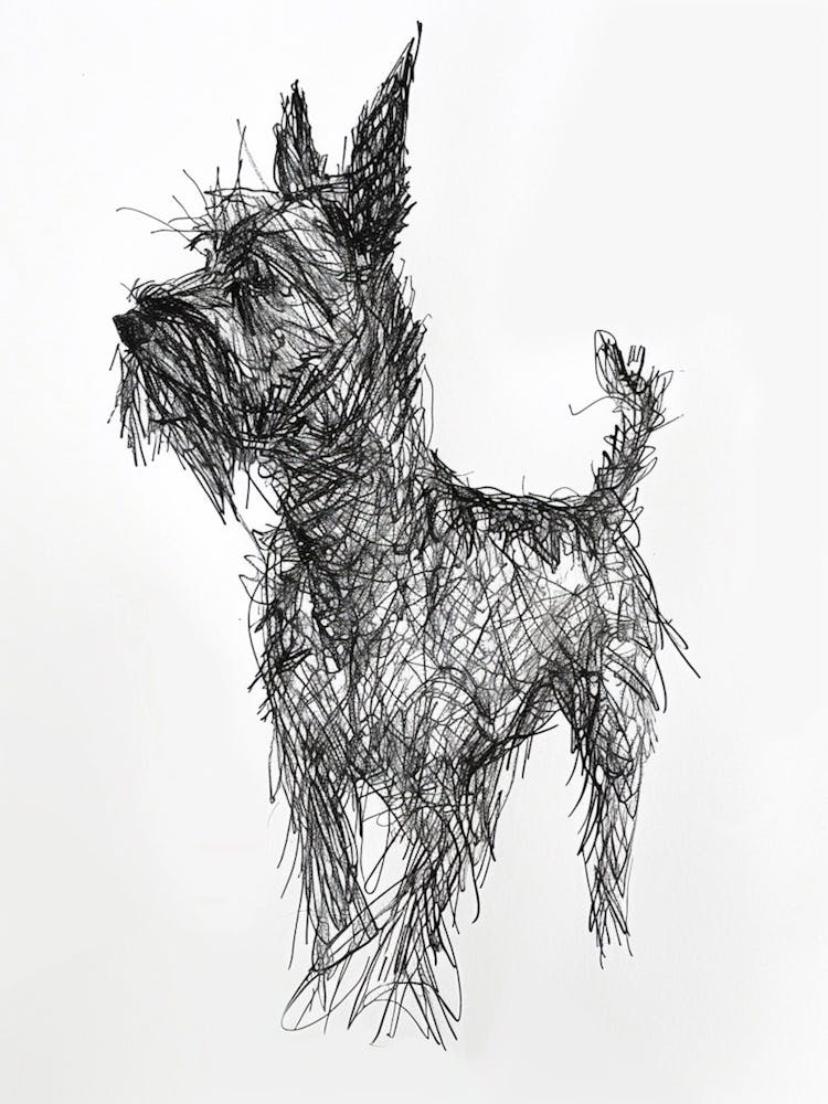  Belgian Laekenois Dog Line Sketch 2
