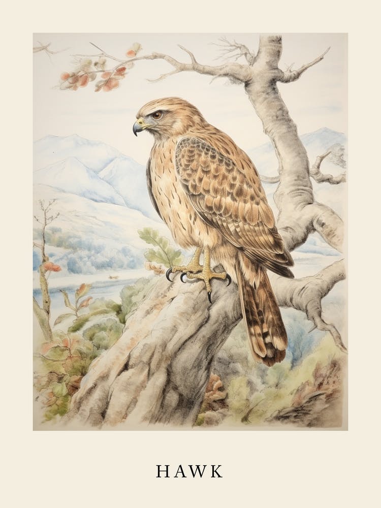 Beatrix Potter Inspired  Animal Watercolour Hawk 1