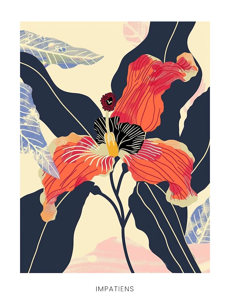 Colourful Flower Illustration Poster Impatiens 3