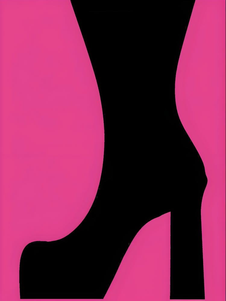 High Heeled Shoe