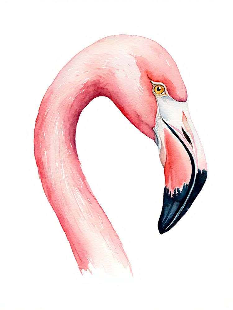 Flamingo 1