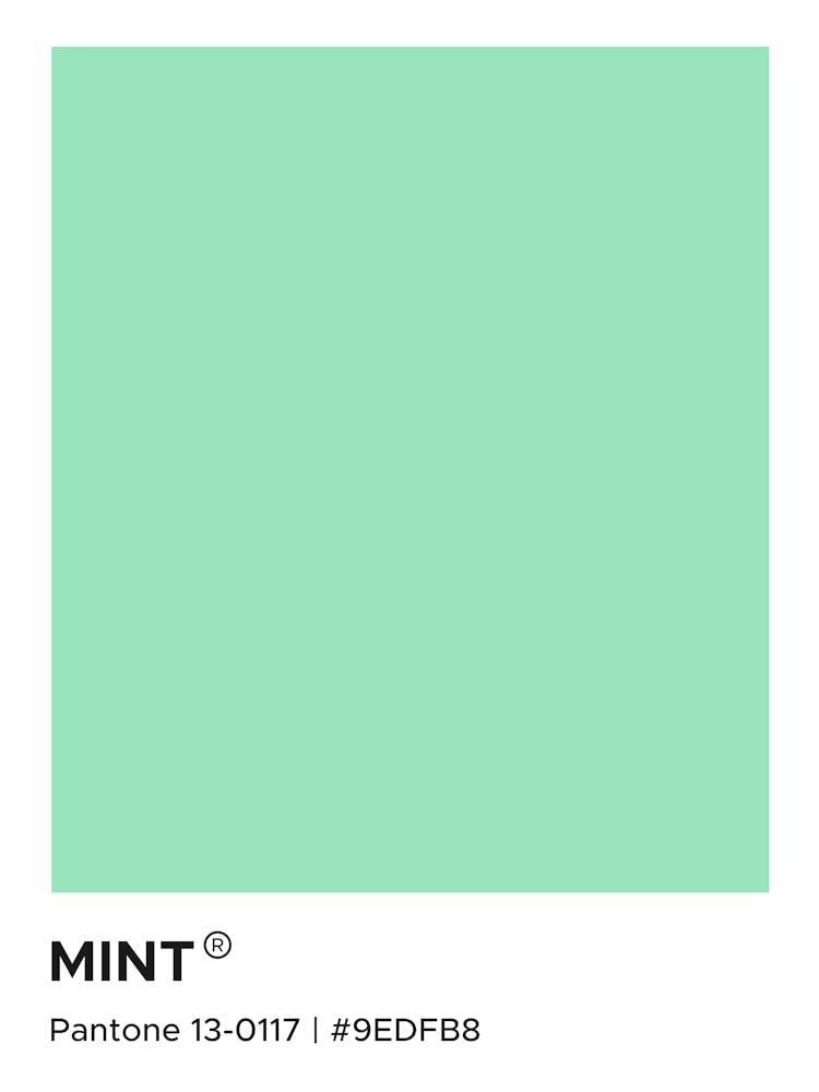 Mint Pantone, cool, cute, calm, mint, green, pantone, swatch, colorful, aesthetic, minimal, modern, spring, kitchen, food, drinks, vibes