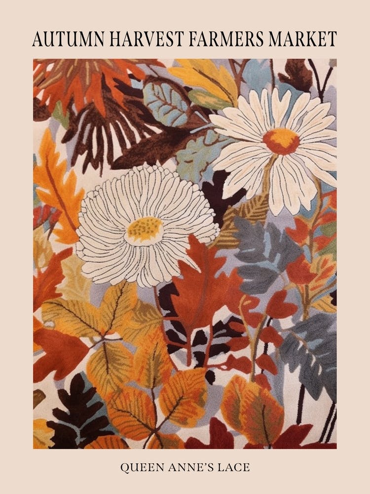 Fall Botanicals Queen Annes Lace 2 Poster