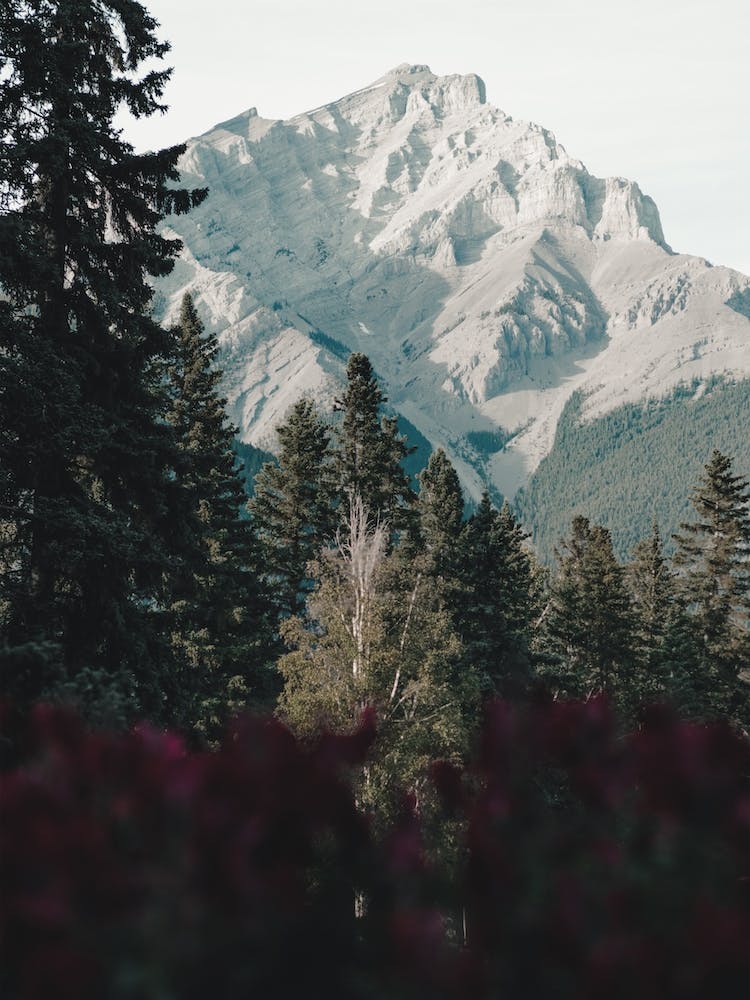 Distant Mountain View