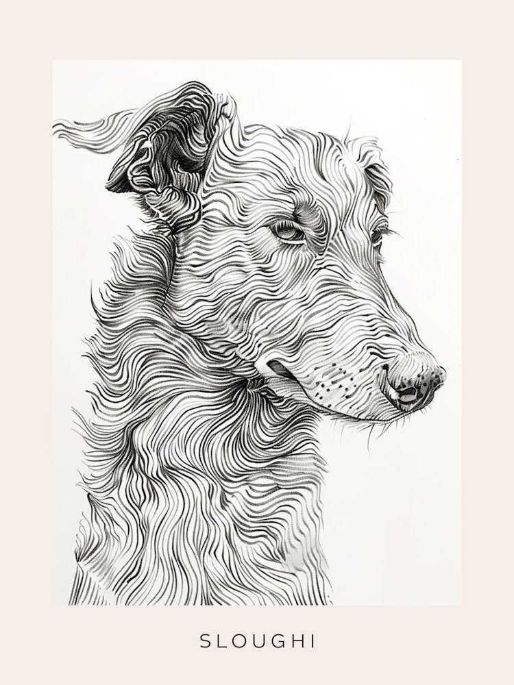 Sloughi Dog Line Sketch 2 Poster